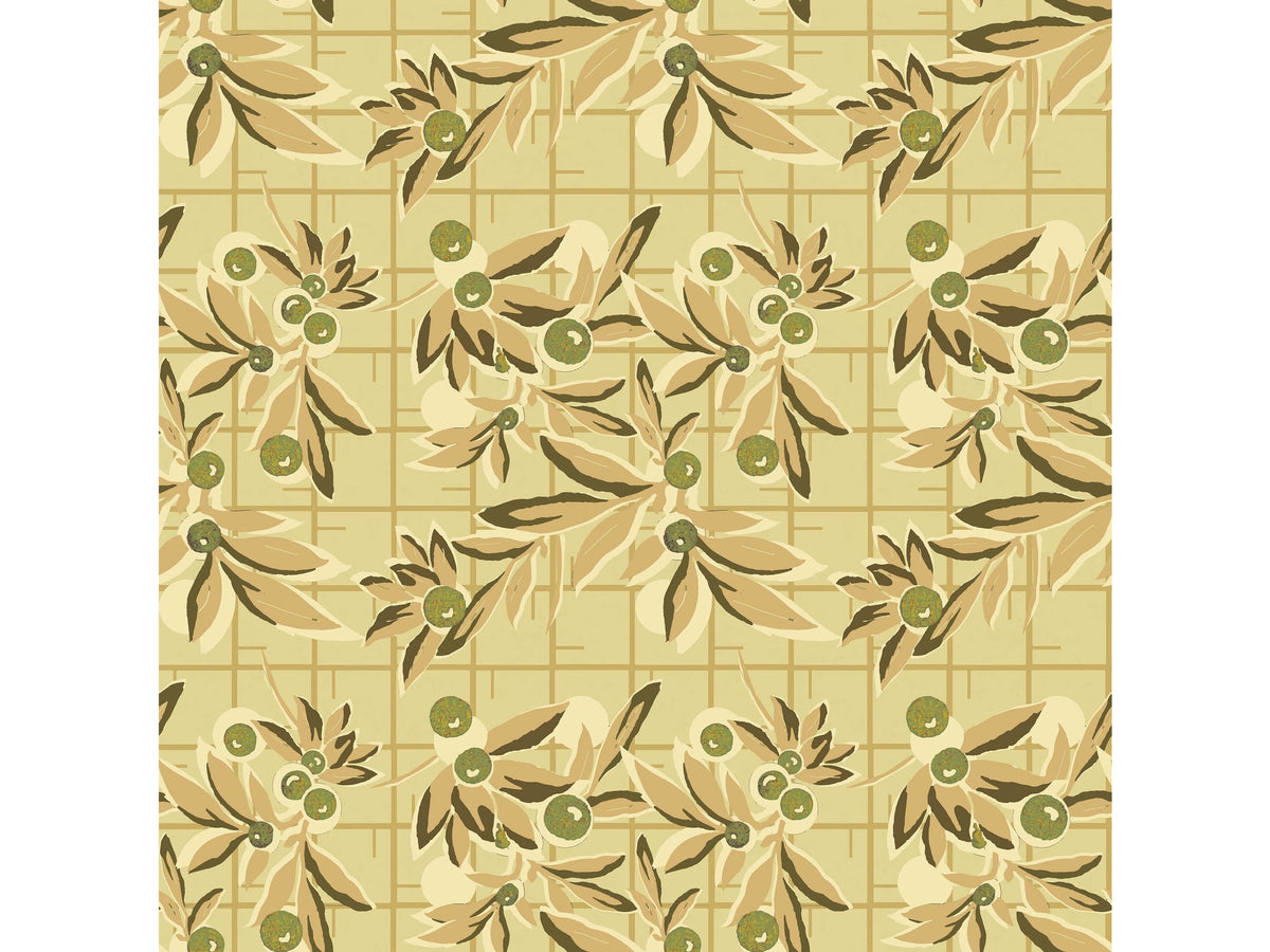 Brins d’olivier / Tilleul