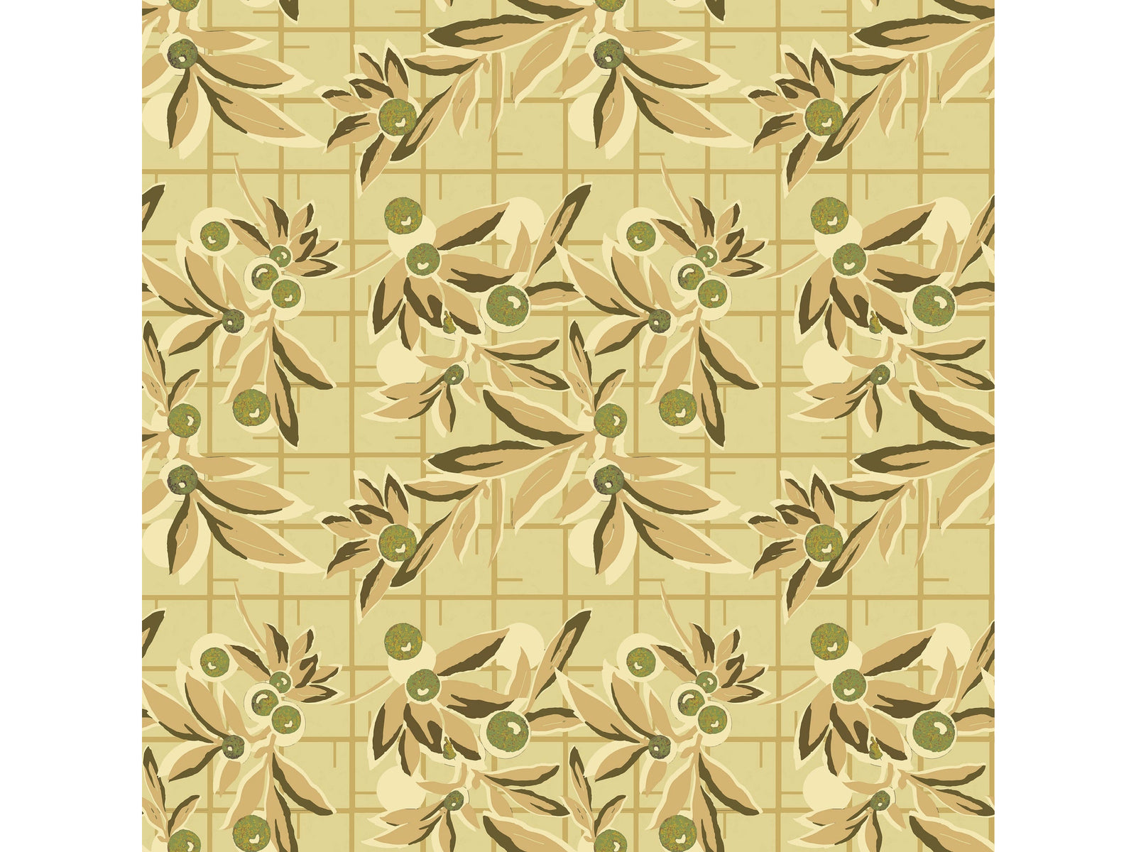 Brins d’olivier / Tilleul