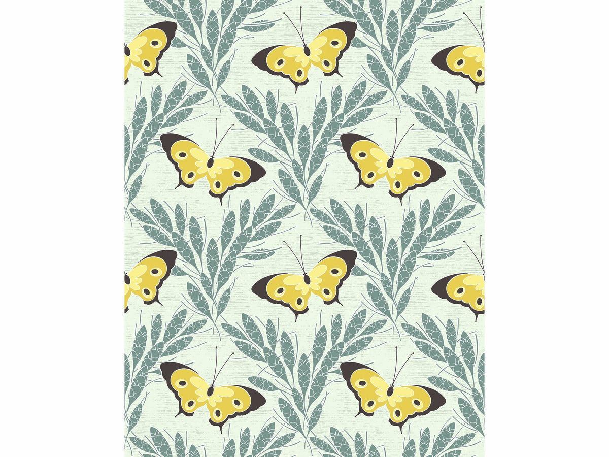 Echantillon Chasse aux papillons / Salon de Lèves