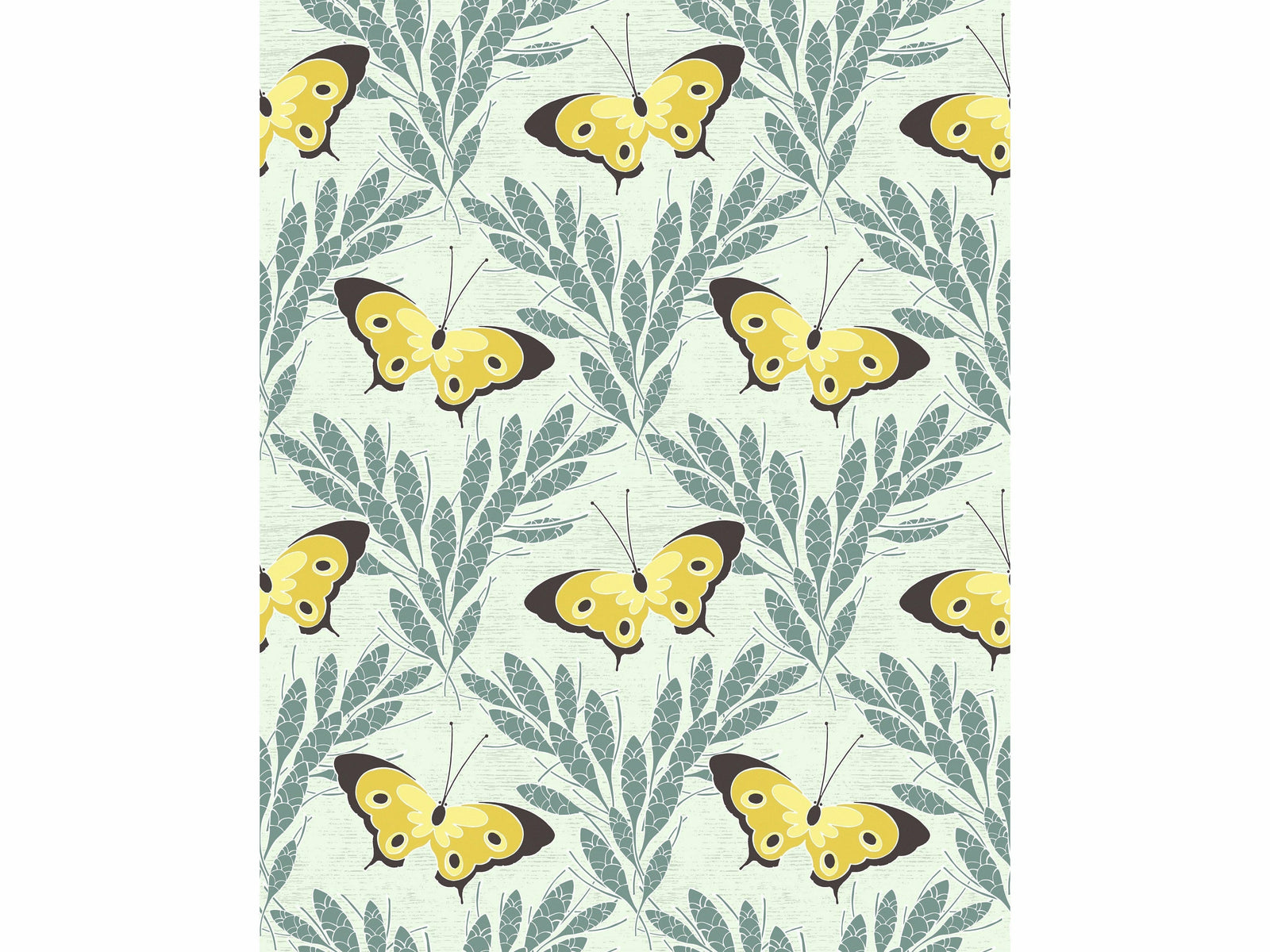 Echantillon Chasse aux papillons / Salon de Lèves