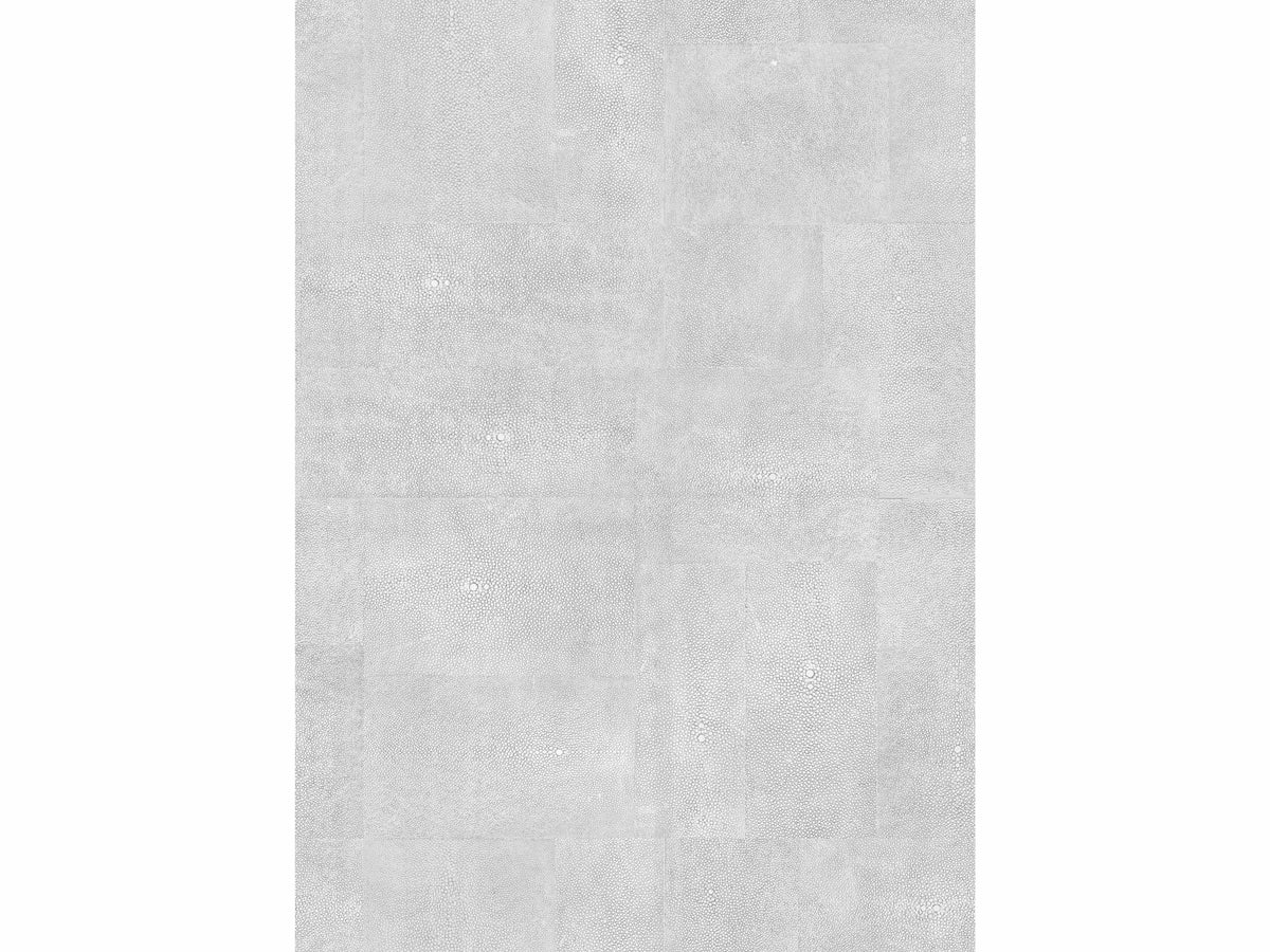 Échantillon Galuchat / Palladium