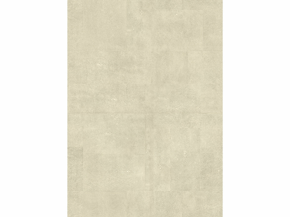 Échantillon Galuchat / Terre verte