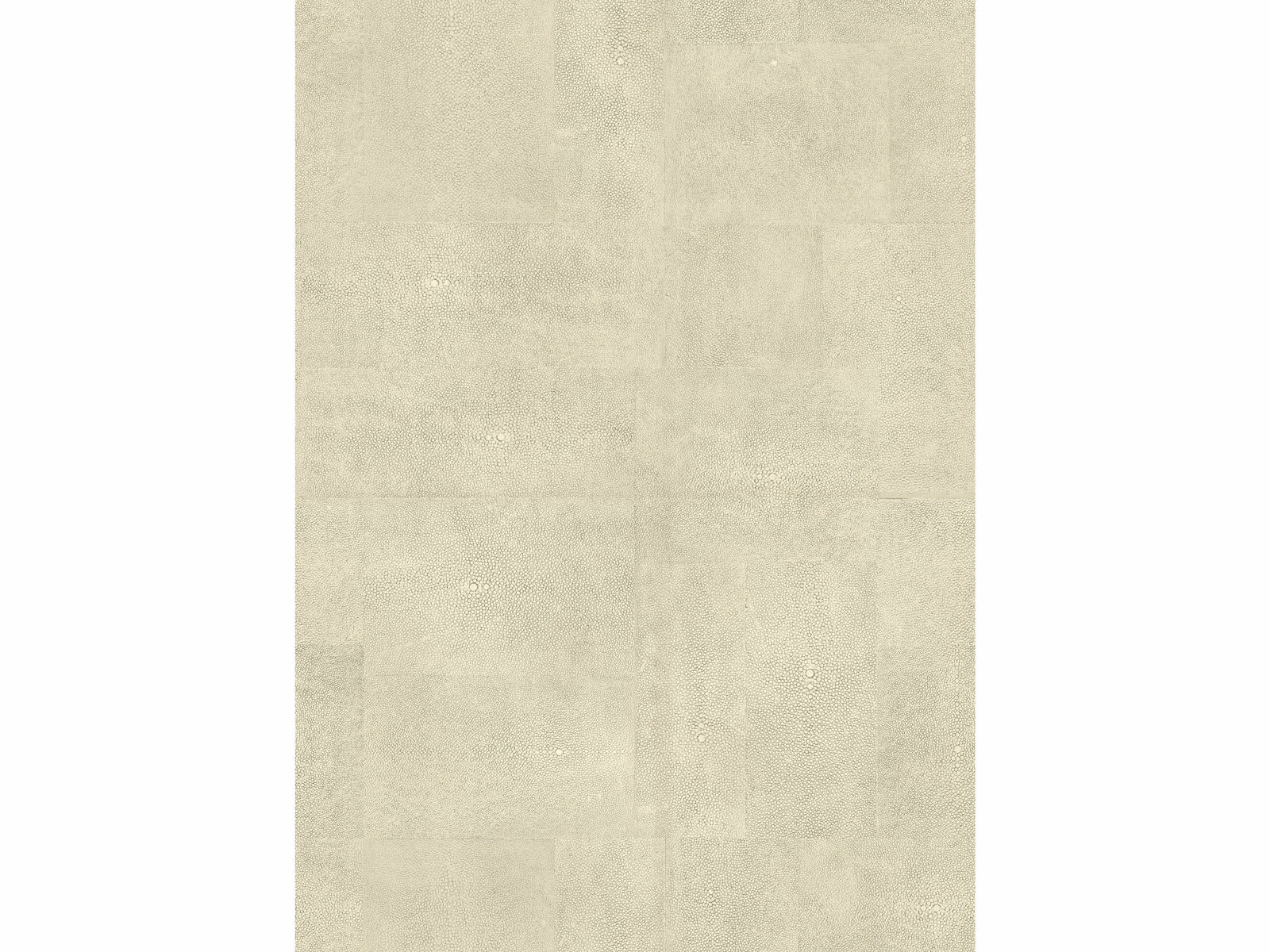 Échantillon Galuchat / Terre verte