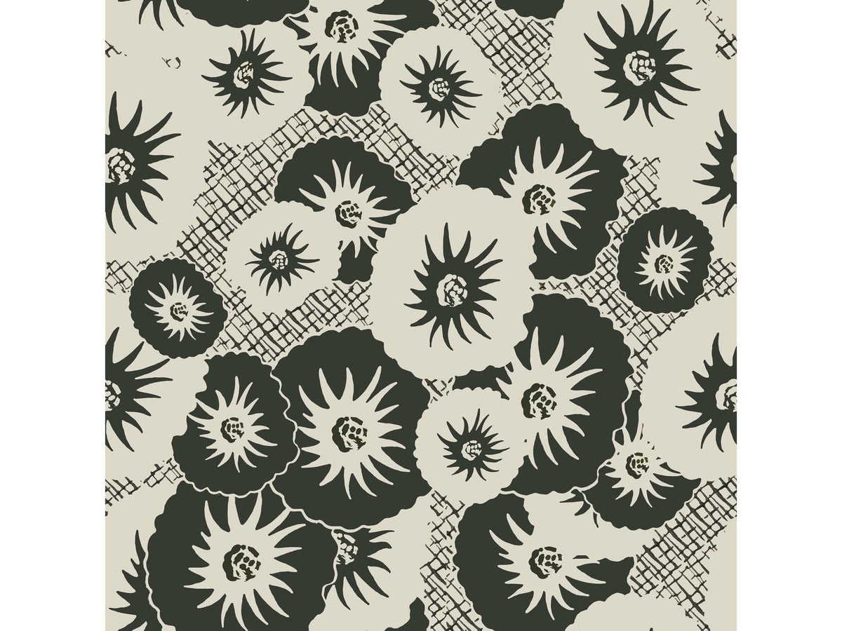 Jardin de Kyoto / Sel de Camargue