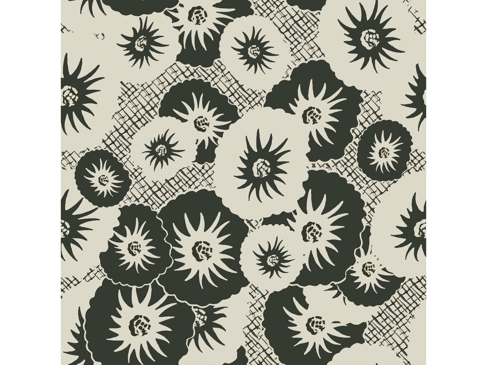 Jardin de Kyoto / Sel de Camargue