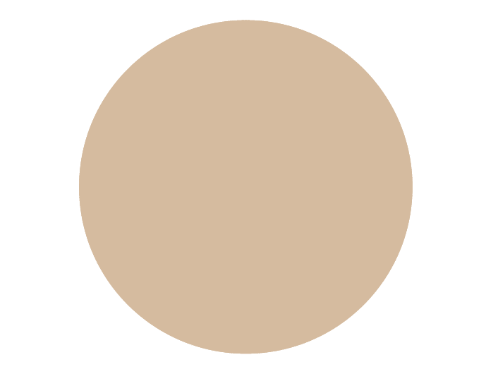 BRISTOL DE TEINTE N°12 Siwa Flavour Wind