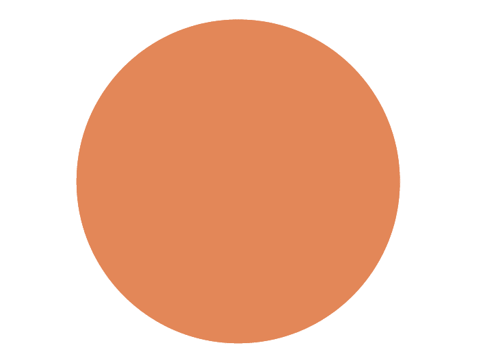 BRISTOL DE TEINTE N°17 Mandarine Au Lait