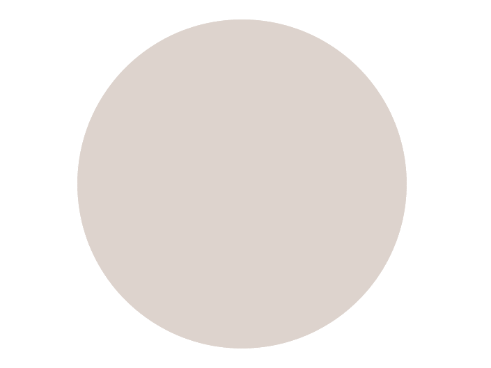 BRISTOL DE TEINTE N°2 Gris De Chemise