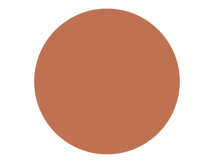 BRISTOL DE TEINTE N°25 Feuille D&#39;Automne