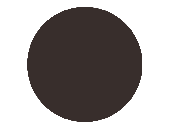 BRISTOL DE TEINTE N°28 Ombre Nocturne