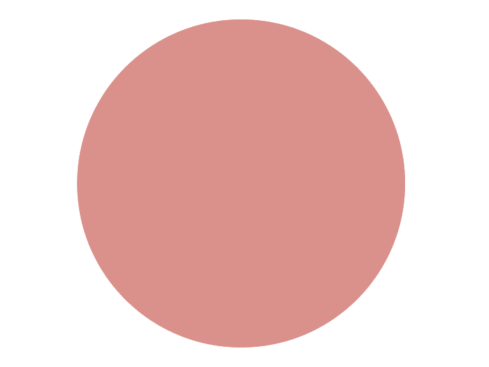 BRISTOL DE TEINTE N°30 Je Rougis