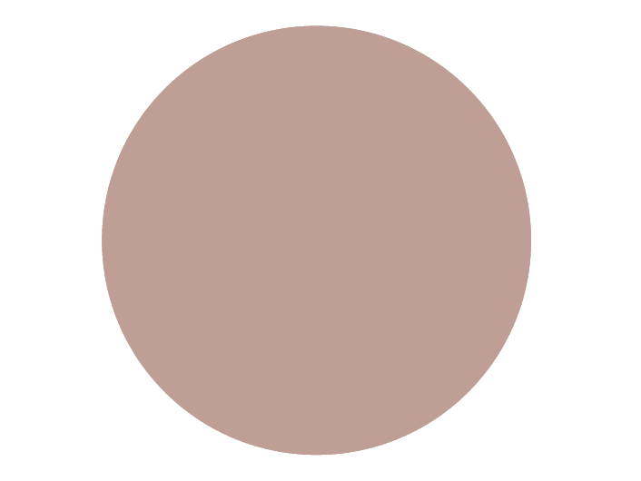 BRISTOL DE TEINTE N°31 Sois Sage