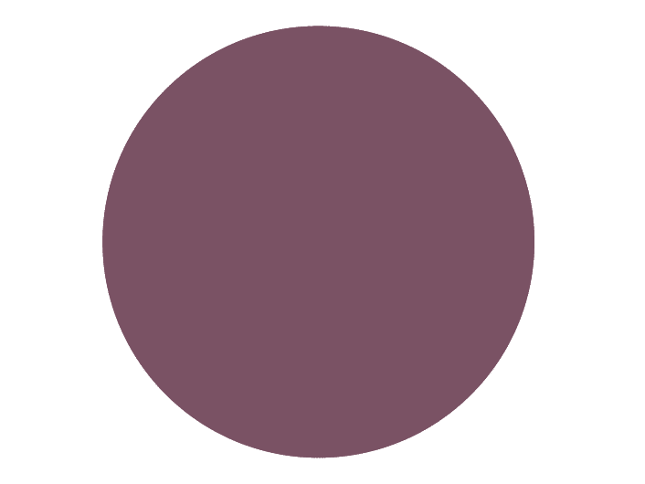 BRISTOL DE TEINTE N°33 Passionément