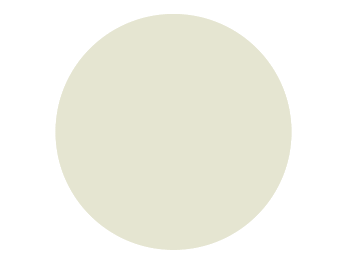 BRISTOL DE TEINTE N°4 Soif D&#39;été