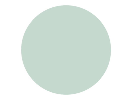 BRISTOL DE TEINTE N°43 Menthe À L&#39;Eau