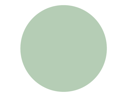 BRISTOL DE TEINTE N°44 Hammam Green