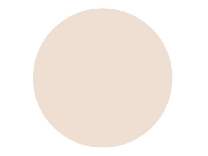 BRISTOL DE TEINTE N°5 Chaud Froid