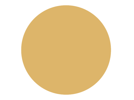 BRISTOL DE TEINTE N°50 Chêne Citronné