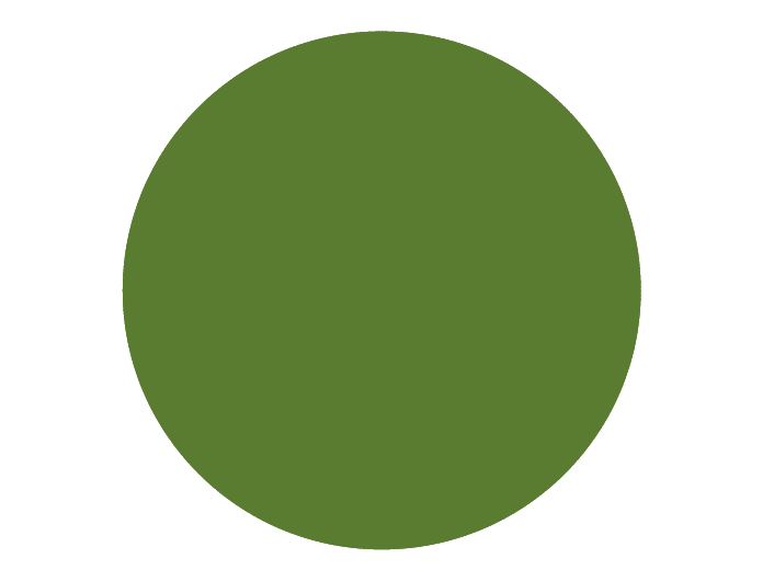 BRISTOL DE TEINTE N°54 Gazon Anglais en Exil