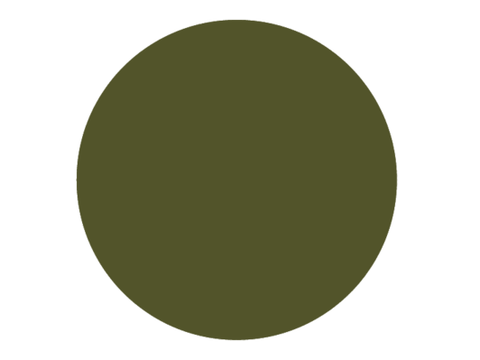 N°55 Camouflage