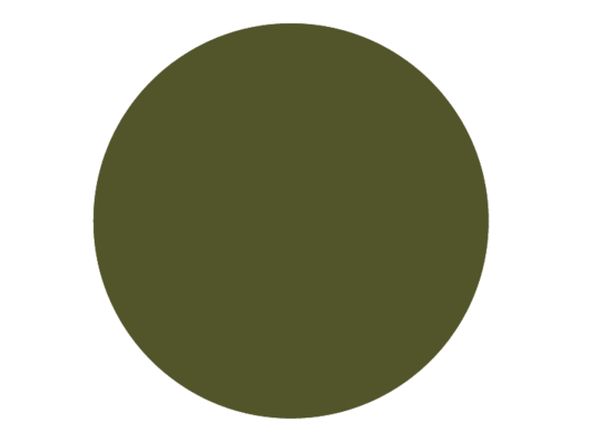 BRISTOL DE TEINTE N°55 Camouflage