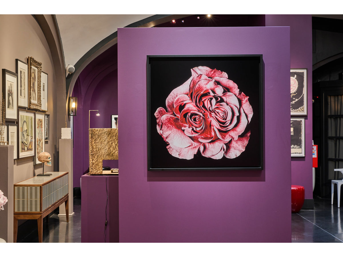 Exposition Beauté Etrange de la Secret Gallery (19 rue de Varenne, Paris 7ème)