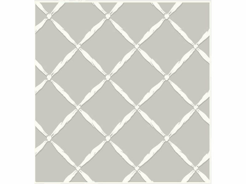 Echantillon Treillage de rubans / Villa Cavrois